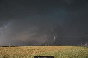 El reno tornado